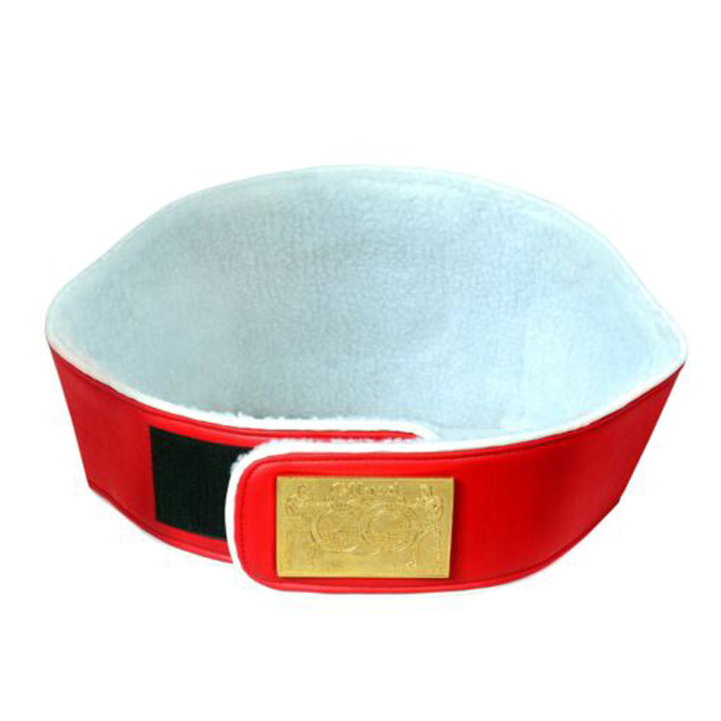 IBF Boxing Championship Belt Adult Size Replica